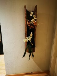 -香秀空间科技抗衰·美容中心