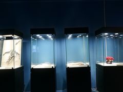 -重庆欢乐海底世界