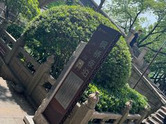 -枫桥景区