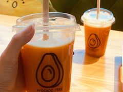 -油梨树AVOCADO TREE(望京店)