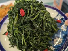 清香枸杞苗-国强手抓(西夏区店)