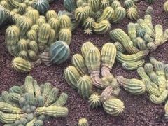 -南通洲际绿博园