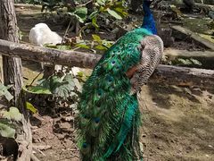 -哈尔滨北方森林动物园