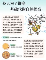 -Fundi张玉珊修身堂·indiba·BTL科技瘦身