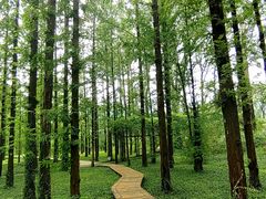 -国家植物园南园