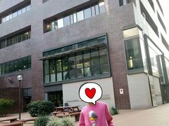 -香港大学