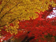 -上海交通大学(闵行校区)