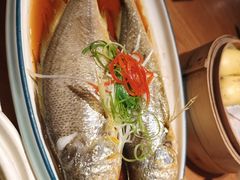 -波螺油子·海肠捞饭·青岛菜(市南银座店)