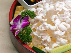 -源港渔村-中山脆肉鲩(博罗店)