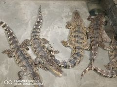 -水上乐园·欢乐世界