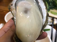 -大富蚝乌东哥饭店·石锅鱼杂·柠檬鸭(革新路店)