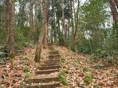 -青龙山国家森林公园
