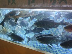 -筱爷叔·上海传统手工菜(玉树路店)