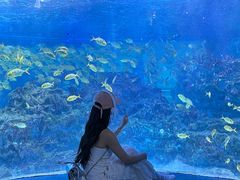 -海合安成都极地海洋公园