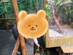 -上海大自然野生昆虫馆