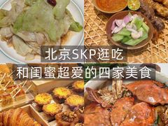 -淮扬府·游园京梦(北京SKP店)