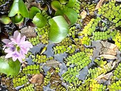 -白塔湖国家湿地公园