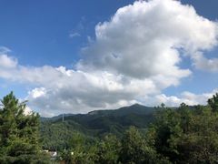 -红山村