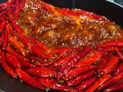 -川西坝子(老军营店)