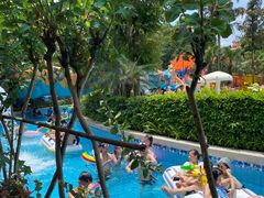 -重庆海昌加勒比海水世界