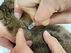 -邢大夫动物医院