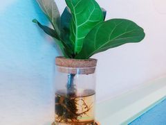 -红小满休闲餐厅(十全街店)