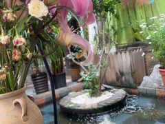 -吃货私房菜(丽江束河古镇店)