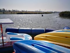 -春花秋色城市公园