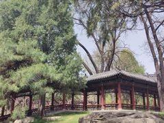 -晋祠公园