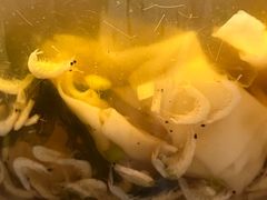 -北丐先生·野馄饨烧烤(泰达E街区店)