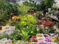 -双季花艺园艺市场(浦东店)