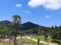 -大姆山草场