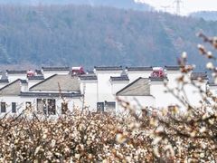 -南京市无想山景区