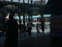 -海合安成都极地海洋公园