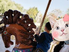 -辛玛王国游乐园