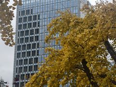 -同济大学(地铁站)