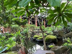 -绿光森林餐厅