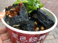 -黑色经典臭豆腐·湖南特产(潇湘文化店)