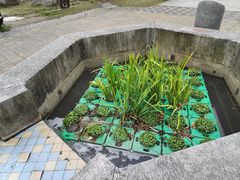 -苏州河梦清园环保主题公园