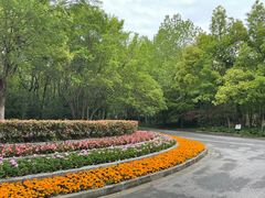 -上海吴淞炮台湾国家湿地公园