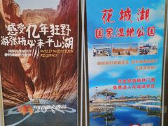 -金塔沙漠胡杨林景区