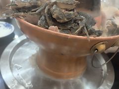 -山海关浑锅(秦皇岛首店)