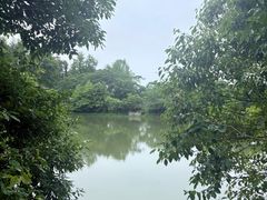 -青龙山国家森林公园