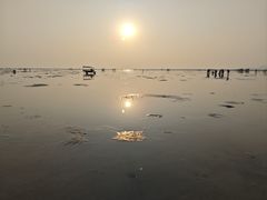 -北海金海湾红树林生态旅游区