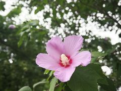 -洨河生态公园