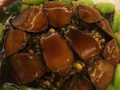 -金城大酒店-中餐厅(汾江中路店)