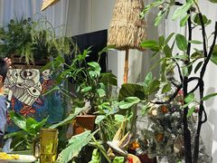 -Thai Basil罗勒叶泰式餐厅(时代天街店)