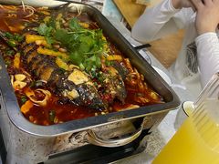 -陈生记黑鱼馆·20年活鱼现杀(宁波鼓楼店)
