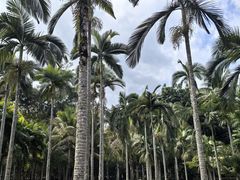 -中国科学院西双版纳热带植物园