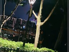 -金鸡山公园